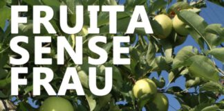 UGT FICA DE CATALUNYA ENGEGA LA CAMPANYA «FRUITA SENSE FRAU»