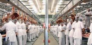 VAGA AL SECTOR DE LA INDÚSTRIA CÀRNIA, QUE OCUPA 34.000 PERSONES A CATALUNYA
