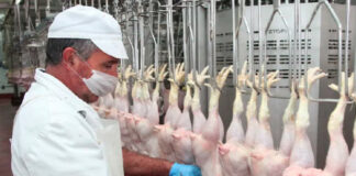 UGT FICA FIRMA EL ACUERDO DE REVISIÓN SALARIAL DEL CONVENIO DE MATADEROS DE AVES Y CONEJOS