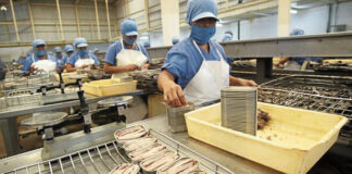 UGT FICA FIRMA EL CONVENIO DE CONSERVAS DE PESCADO