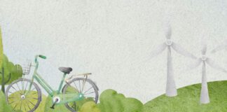 UGT FINALIZA EL PROYECTO «FICHAS AMBIENTALES PARA UNA #UGTenVERDE»