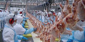 FIRMADO EL ACUERDO DE REVISIÓN DE LAS TABLAS SALARIALES 2023 Y 2024 DEL CONVENIOS DE MATADEROS DE AVES Y CONEJOS