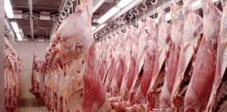 LA HUELGA EN LA INDUSTRIA CÁRNICA SERÁ LOS DÍAS 4 Y 5 DE DICIEMBRE SI NO HAY ACUERDO EN EL SIMA