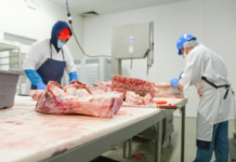 PRIMERA TOMA DE CONTACTO EN LA NEGOCIACIÓN DEL CONVENIO ESTATAL DE INDUSTRIAS CÁRNICAS