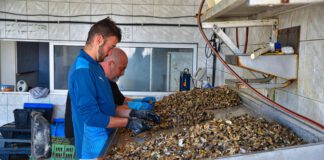 ALCANZADO UN PREACUERDO EN LA NEGOCIACIÓN DEL CONVENIO ESTATAL DE ELABORADOS DE PRODUCTOS DEL MAR