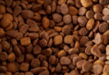 UGT FICA MUESTRA SU PROFUNDA PREOCUPACIÓN POR LA MARCHA DE LA NEGOCIACIÓN DEL CONVENIO NACIONAL DE FABRICACIÓN DE ALIMENTOS COMPUESTOS PARA ANIMALES