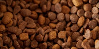UGT FICA MUESTRA SU PROFUNDA PREOCUPACIÓN POR LA MARCHA DE LA NEGOCIACIÓN DEL CONVENIO NACIONAL DE FABRICACIÓN DE ALIMENTOS COMPUESTOS PARA ANIMALES