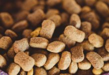 LA NEGOCIACIÓN DEL CONVENIO NACIONAL DE FABRICACIÓN DE ALIMENTOS COMPUESTOS PARA ANIMALES CONTINUARÁ EN SEPTIEMBRE