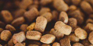 LA NEGOCIACIÓN DEL CONVENIO NACIONAL DE FABRICACIÓN DE ALIMENTOS COMPUESTOS PARA ANIMALES CONTINUARÁ EN SEPTIEMBRE