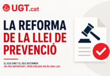 LA REFORMA DE LA LLEI DE PREVENCIÓ: EL CES EMET EL SEU DICTAMEN