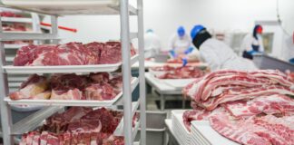 LA ACTITUD IRRESPONSABLE DE LA PATRONAL EN LA NEGOCIACIÓN DEL CONVENIO INDUSTRIAS CÁRNICAS ABOCA AL SECTOR A LA MOVILIZACIÓN